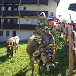 Moida-ferienwohnung Appartamento Fügen