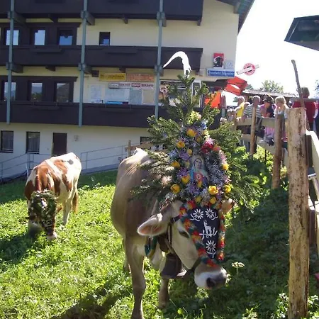 Moida-ferienwohnung Apartament Fügen