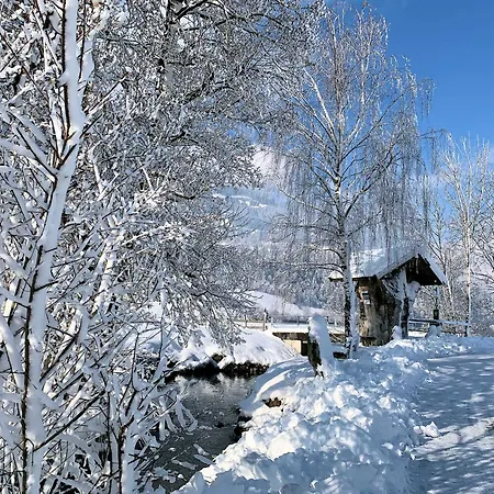 Moida-ferienwohnung Apartment