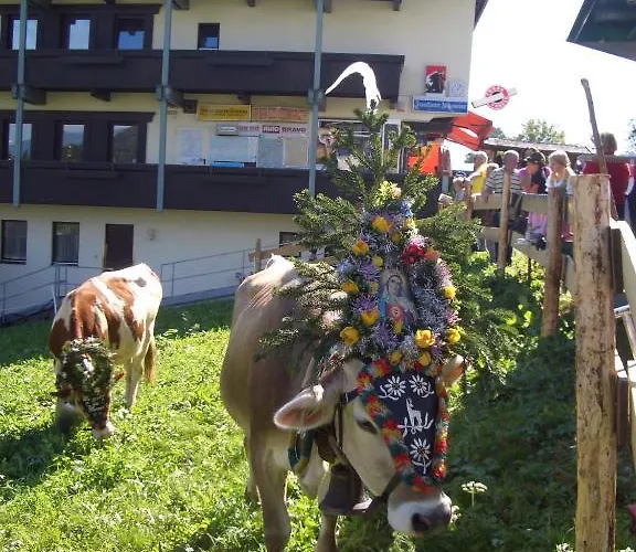 Moida-ferienwohnung Apartmán Fügen